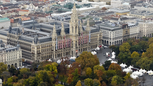 Das Wiener Rathaus (Bild: APA/HERBERT NEUBAUER)