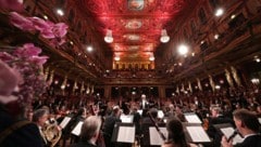 Philharmonikerball (Archivbild), einer der schönsten Bälle Wiens (Bild: GEORG HOCHMUTH)