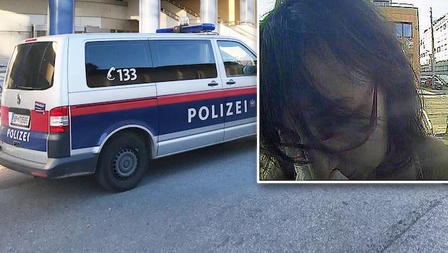 Die Wiener Polizei fahndet nach dieser Frau, die einem Pensionisten, der im Sterben lag, 8353 Euro gestohlen haben soll. (Bild: APA/LPD Wien, krone.at-Grafik)