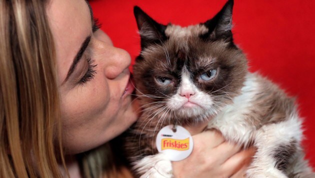 Grumpy Cat mit Frauchen Tabatha Bundesen (Bild: AP)