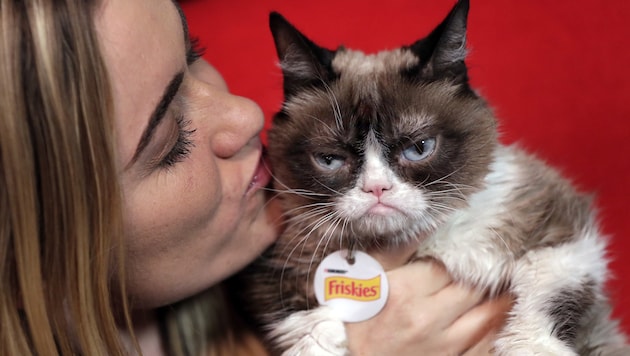 Grumpy Cat mit Frauchen Tabatha Bundesen (Bild: AP)