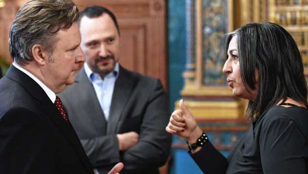 Wiens SPÖ-Chef Michael Ludwig und die scheidende grüne Vizebürgermeisterin Maria Vassilakou (Bild: APA/ROBERT JAEGER)