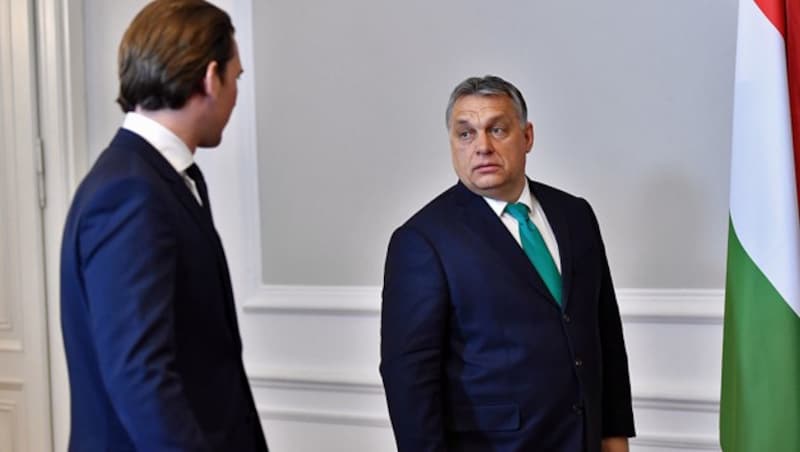 Orban trägt eine türkise Krawatte - eine Anspielung auf die politische Farbe seines Gegenübers? (Bild: AFP)