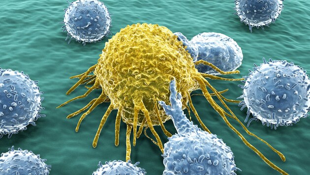 Künstlerische Illustration einer Krebszelle (gelb) (Bild: Juan Gärtner/stock.adobe.com)