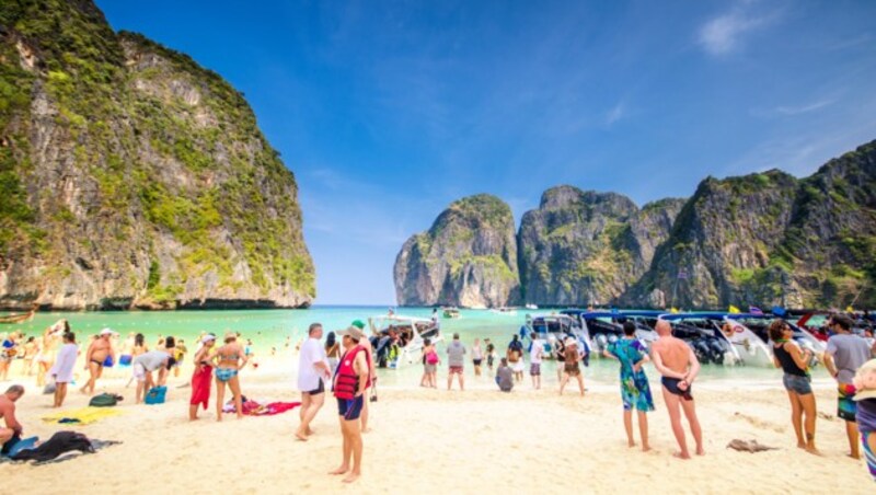 Der Strand aus "The Beach": Maya Bay heute (Bild: stock.adobe.com)