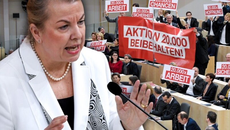Heftige Angriffe von Sozialministerin Beate Hartinger gegen die SPÖ (Bild: APA/ROLAND SCHLAGER, krone.at-Grafik)
