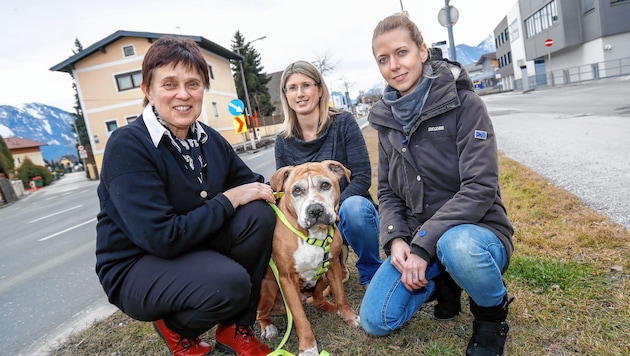 Christina Sigrist mit "Pipo", Birgit Moser und Bettina vom PSV Hallein (Bild: Markus Tschepp)