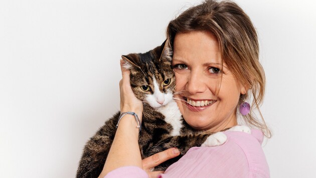 Eine Linzerin wollte im Internet Katzen kaufen und wurde um 550 Euro betrogen. (Bild: Betti Plach)