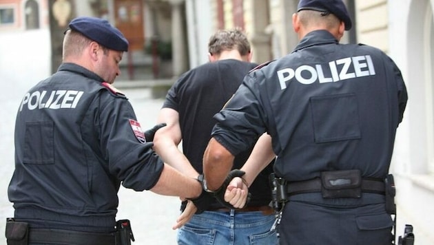 Die Polizei verhaftete den unbelehrbaren Dieb und Einbrecher (Bild: Polizei OÖ)