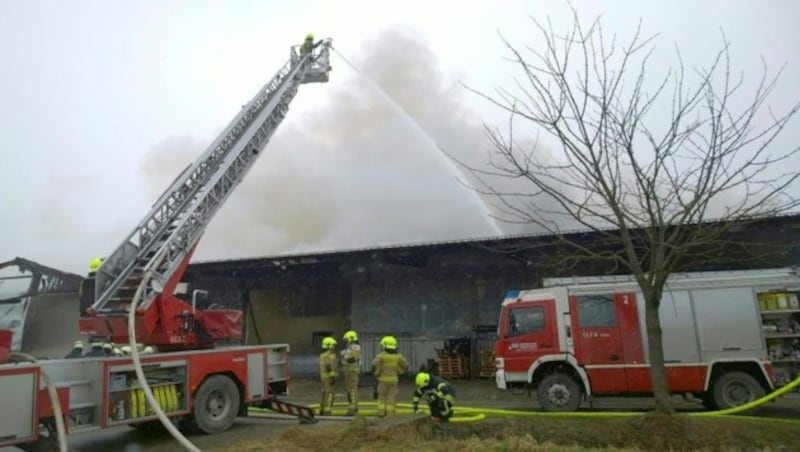 (Bild: APA/BFK KORNEUBURG)