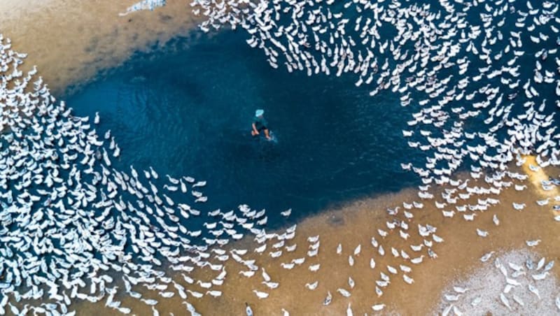 3. Platz Landschaft, Enthusiast Group (Bild: skypixel.com/caokynhan)