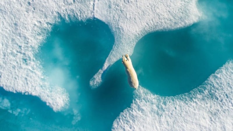 Foto des Jahres (Bild: skypixel.com/Florian Ledoux)