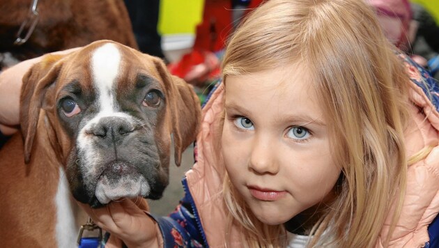 Am 3. und 4. März findet in Graz die große Hundeausstellung statt, präsentiert von der "Krone" (Bild: Krone)