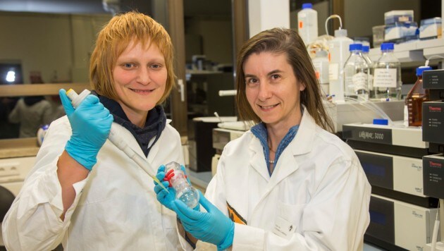An der Universität Salzburg: Molekular-Biologinnen Conny Roschger und Chiara Cabrele (Bild: Kolarik Andreas)
