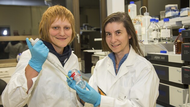 An der Universität Salzburg: Molekular-Biologinnen Conny Roschger und Chiara Cabrele (Bild: Kolarik Andreas)