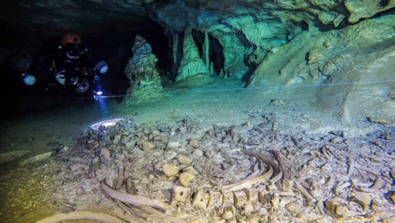 Maya-Relikte in einer Unterwasserhöhle (Bild: AP)