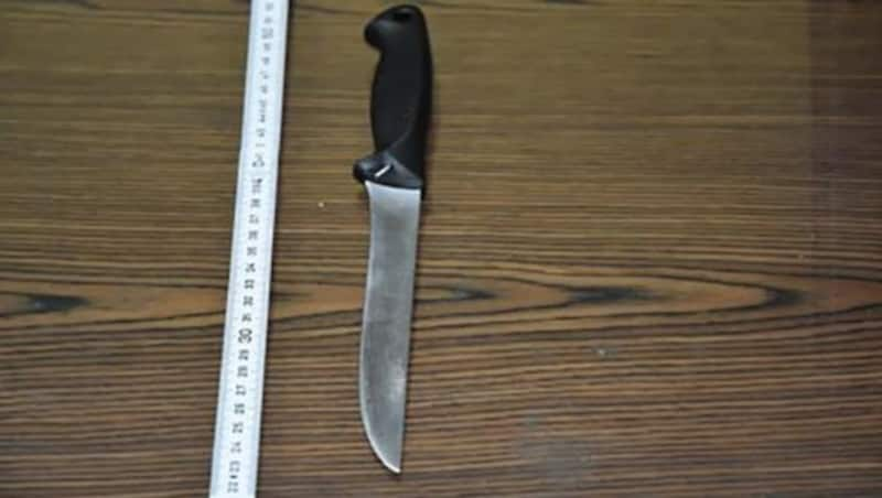 Mit diesem Messer soll der Somalier (18) zugestochen haben. (Bild: APA/LPD WIEN)