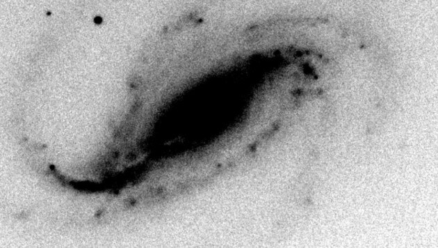 Durch puren Zufall konnte ein Hobbyastronom erstmals einen Blick auf die Geburt einer Supernova erhaschen. (Bild: APA/AFP/NATURE PUBLISHING GROUP/Victor Buso and Gaston Folatelli)