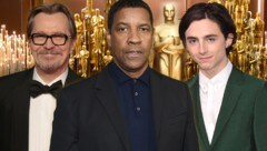 Gary Oldman, Denzel Washington und Timothee Chalamet haben Chancen auf einen Oscar als bester Hauptdarsteller. (Bild: AFP, Getty Images North America, AP, krone.at-Grafik)