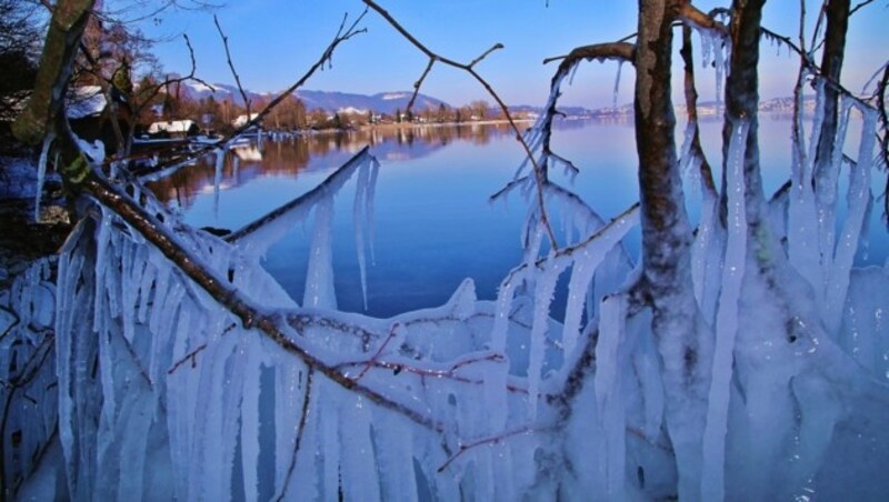 Der „eisige“ Blick auf den Traunsee in Oberösterreich (Bild: Marion Hörmandinger)