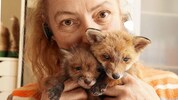 Tierschützerin mit so viel Herzblut! Monika Großmann vom Verein Kleine Wildtiere in großer Not ...