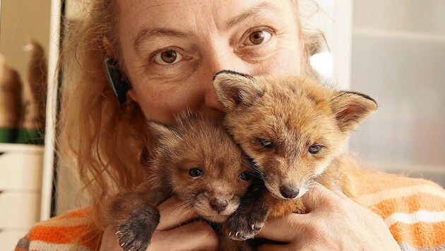 Tierschützerin mit so viel Herzblut! Monika Großmann vom Verein Kleine Wildtiere in großer Not ...