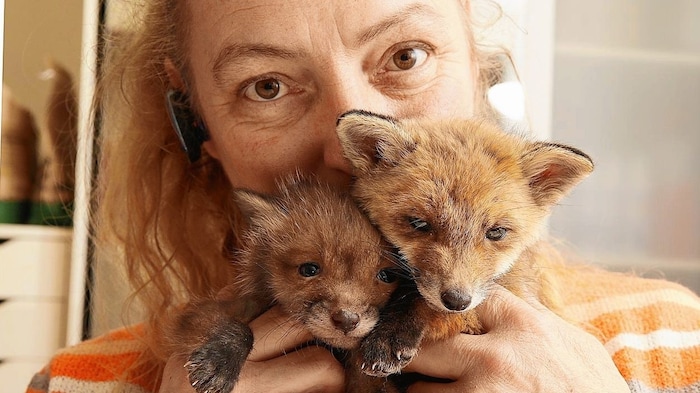 Tierschützerin mit so viel Herzblut! Monika Großmann vom Verein Kleine Wildtiere in großer Not ...