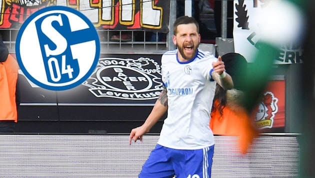 Guido Burgstaller schoss Schalke zum Sieg gegen Leverkusen (Bild: AFP)