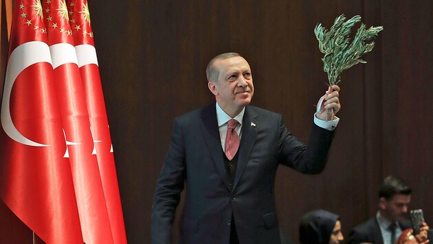 Präsident Recep Tayyip Erdogan mit einem Olivenzweig: Dieser symbolisiert normalerweise Frieden. In Nordsyrien steht er für Tod und Zerstörung. (Bild: AP)