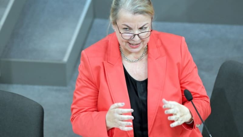 Gesundheitsministerin Beate Hartinger-Klein (FPÖ) (Bild: APA/ROLAND SCHLAGER)