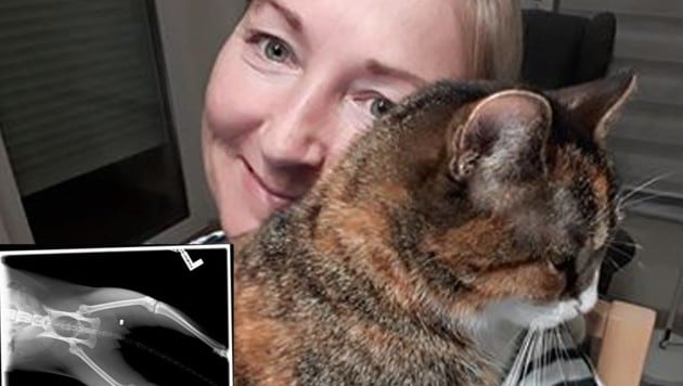 Eva P. mit Katze Kitty und dem Röntgenbild (Bild: Eva P.)