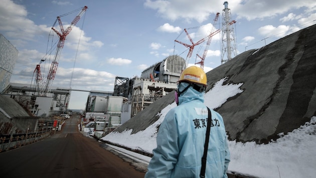 Das Atomkraftwerk Fukushima (Bild: APA/AFP/BEHROUZ MEHRI)