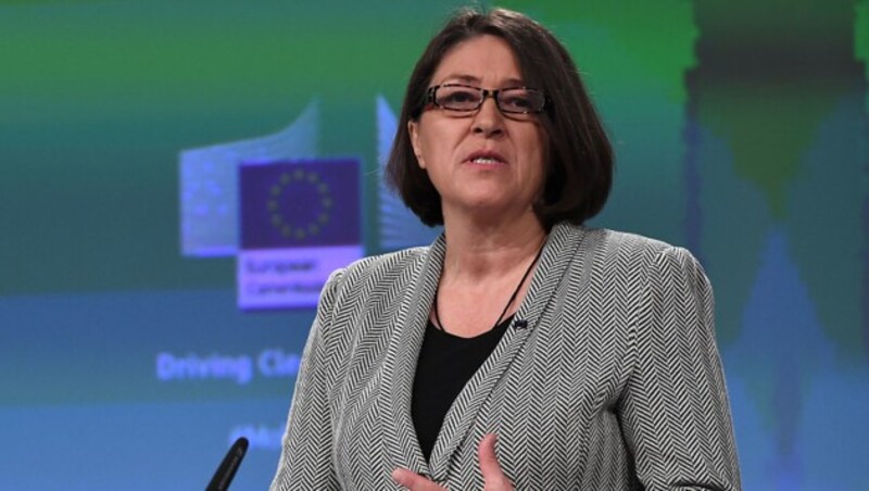 EU-Verkehrskommissarin Violeta Bulc (Bild: AFP/Emmanuel Dunand)