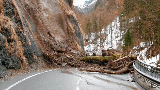 Der Erdrutsch verlegte die Straße auf 15 Metern. (Bild: GERHARD SCHIEL)