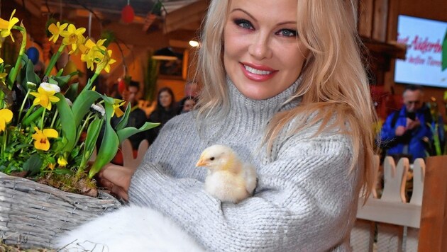 Pamela Anderson am Ostermarkt auf Gut Aiderbichl (Bild: Kerstin Joensson)