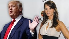 Trump, Ex-Playboy-Model McDougal (Bild: AP, AFP, krone.at-Grafik)