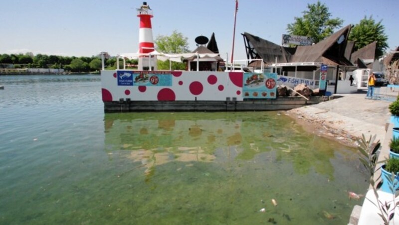 2012 wurde die Leiche von Ghanem bei der Copa Cagrana in der Donau entdeckt. Laut Obduktion ertrank er. (Bild: KRONEN ZEITUNG)