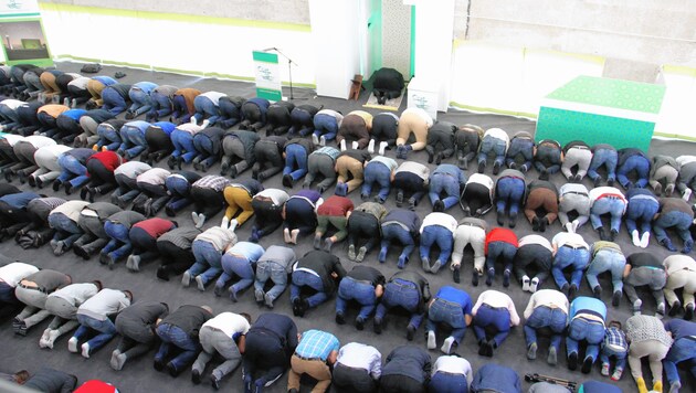 Muslime beim Freitagsgebet (Bild: Kronen Zeitung)