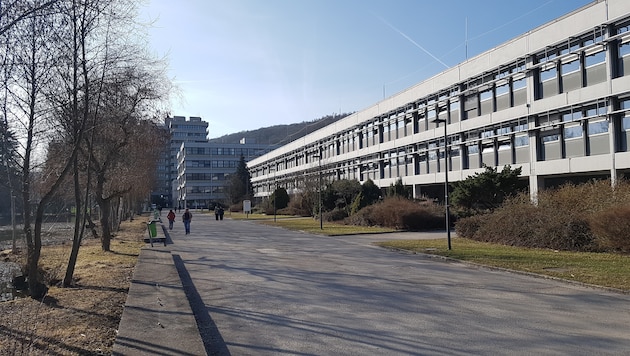 Ein Frühlingstag am Campus der Linzer Johannes-Kepler-Universität (JKU) (Bild: Werner Pöchinger)