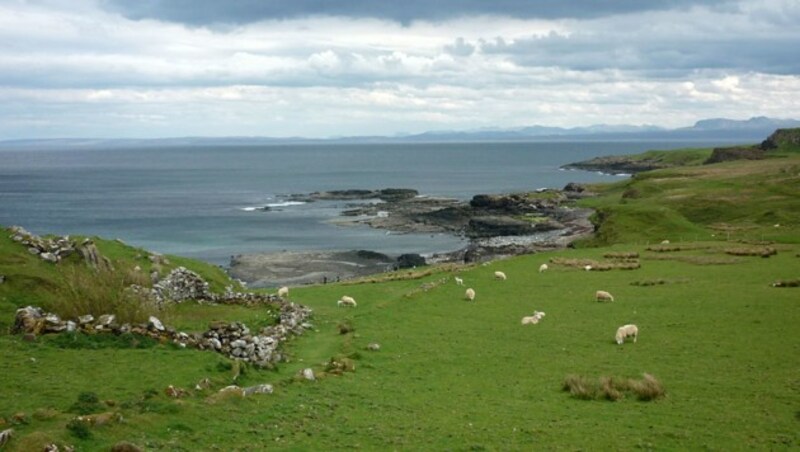 Brothers’ Point auf der Isle of Skye, wo die Abdrücke gefunden wurden (Bild: University of Edinburgh/Jon Hoad)