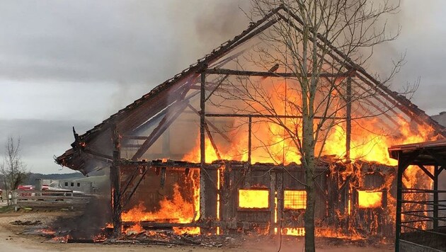 Die Scheune des Reiterhofs brannte am Mittwoch Vormittag komplett ab. (Bild: fotokerschi.at)