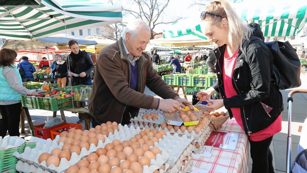 Zu Ostern war der Höfer Hof in Hitzendorf ausverkauft, jetzt sind die Kartons bei Franz Höfer wieder voll mit Freilandeiern. (Bild: Juergen Radspieler)