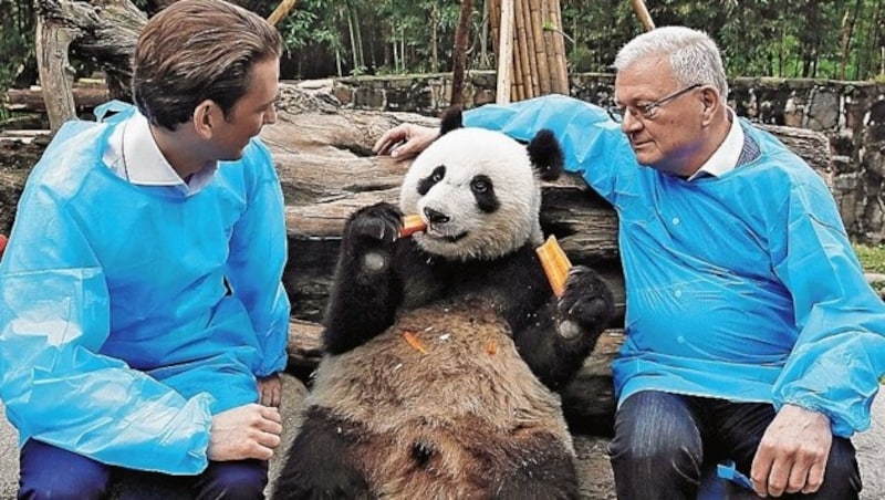 Sebastian Kurz und „Krone“-Redakteur Kurt Seinitz mit Panda (Bild: Dragan TATIC)