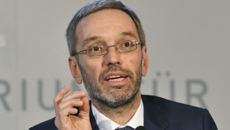 Herbert Kickl (Bild: APA/HANS PUNZ)