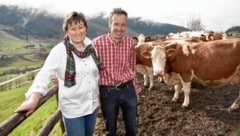 Roswitha und Matthäus Hönegger betreiben den Tromörthof in Lessach. Ihre Kühe liefern die „Reine Lungau“-Milch - viel Arbeit steckt dahinter. Jetzt wagen sie sich an ein neues Projekt: Ein eigener Bio-Schlachthof. (Bild: Roland Holitzky, foto-studio.at)