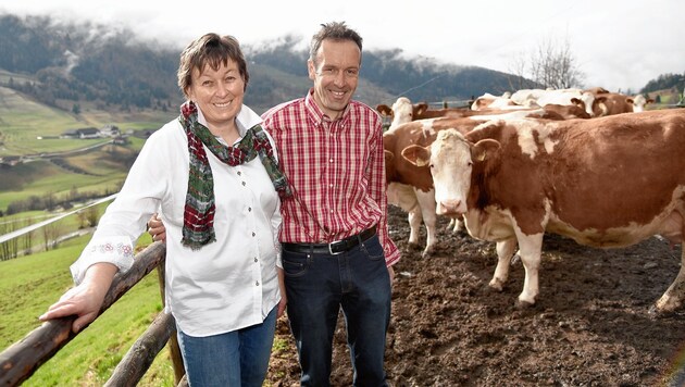 Roswitha und Matthäus Hönegger betreiben den Tromörthof in Lessach. Ihre Kühe liefern die „Reine Lungau“-Milch - viel Arbeit steckt dahinter. Jetzt wagen sie sich an ein neues Projekt: Ein eigener Bio-Schlachthof. (Bild: Roland Holitzky, foto-studio.at)