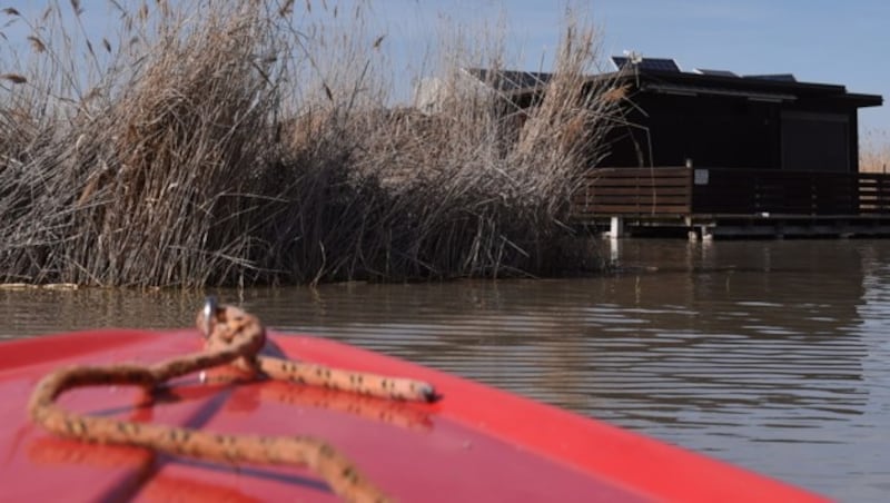 Im Neusiedler See ist am 13. April 2018 eine zerstückelte Frauenleiche gefunden worden. (Bild: APA/HERBERT P. OCZERET)