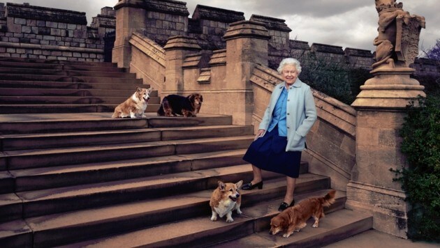 Queen Elizabeth 2016 mit ihren Corgis vor Schloss Windsor (Bild: AP)