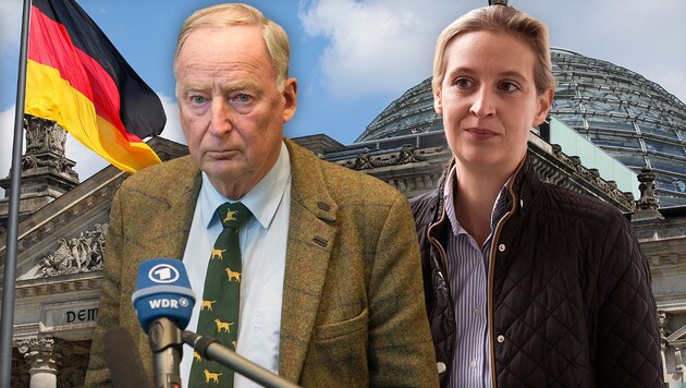 Die AfD-Chefs Alexander Gauland und Alice Weidel (Bild: AFP, dpa/Bernd von Jutrczenka, stock.adobe.com, krone.at-Grafik)