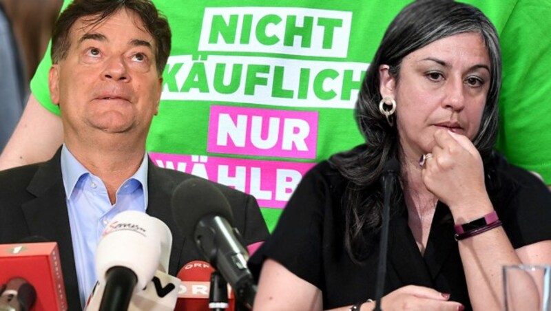 Werner Kogler, Maria Vassilakou (Bild: APA, krone.at-Grafik)